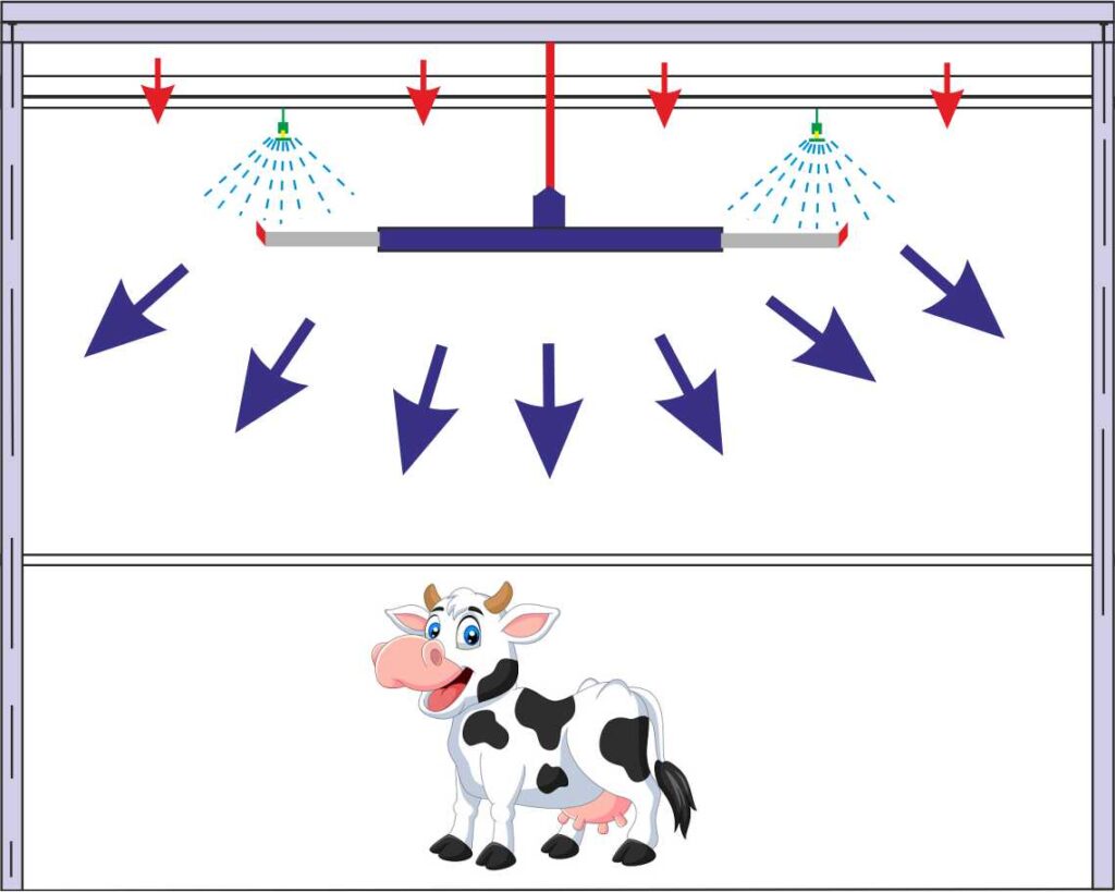 туманообразование в коровнике, микроклимат коровника, мелкодиспенсорное орошение на ферме
